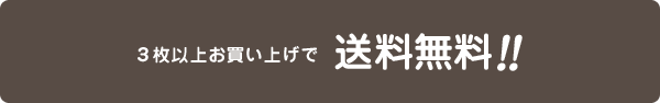 3枚以上お買い上げで送料無料！