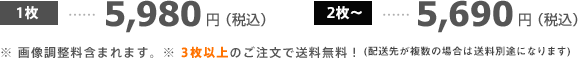 1枚 5,980円（税込）2枚～ 5,690円（税込）
